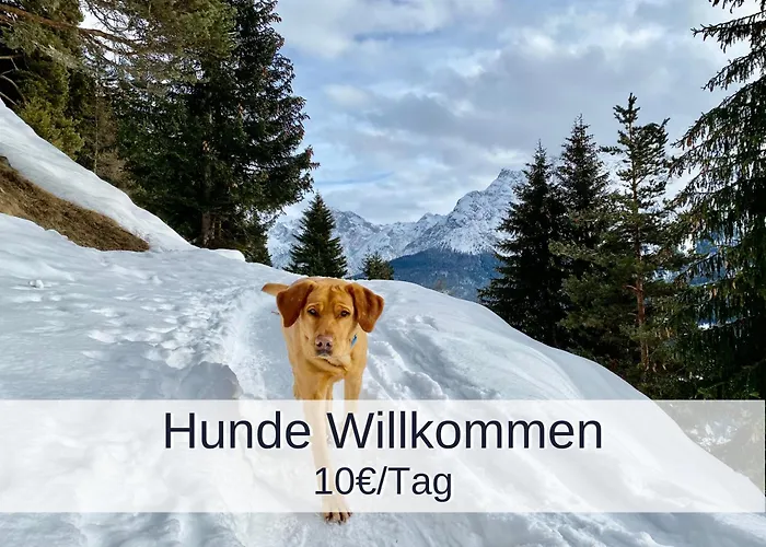 Lejlighed Rambold Sonnenterrasse Garmisch-Partenkirchen